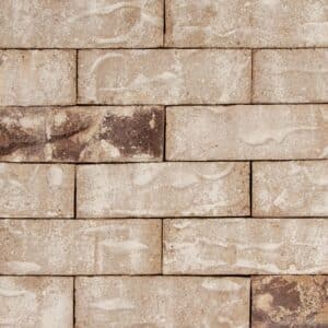 folsom gold brick H.C. Muddox