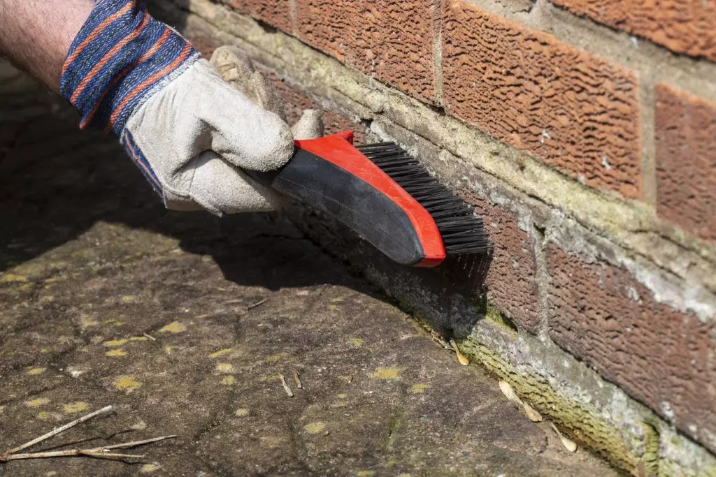 How to Clean Masonry